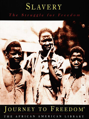 cover image of Slavery